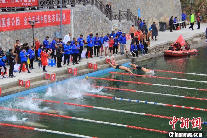 庆元举办2024自由式轮滑公开赛暨青少儿游泳赛